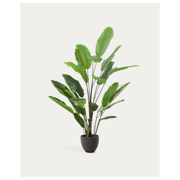 Planta artificial Banano con maceta negra 210 cm - Kave Home